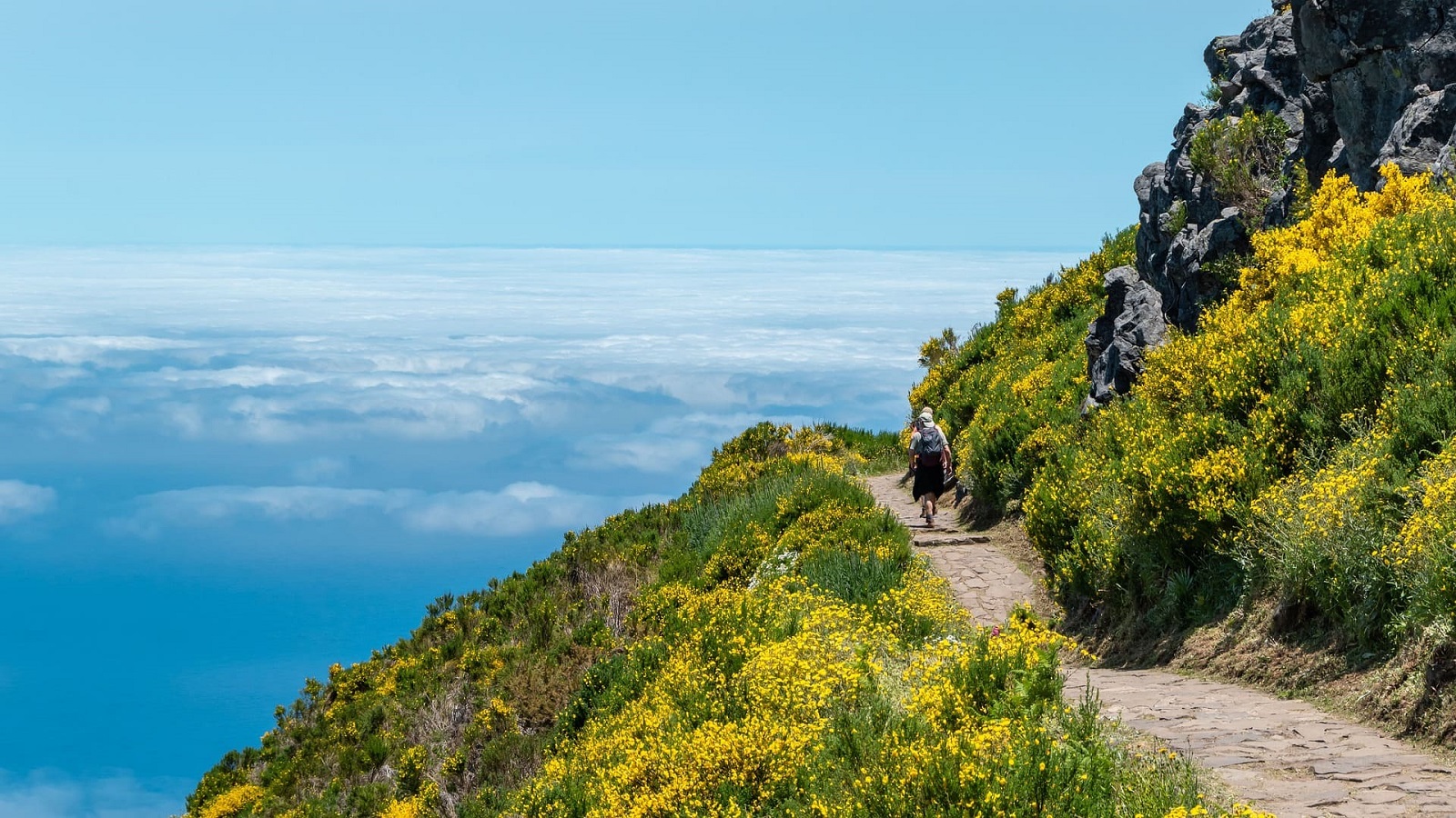 madeira 